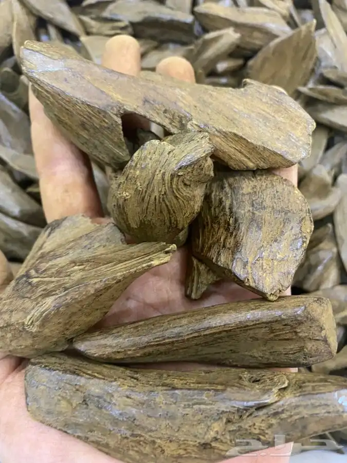 مروكي محسن فاخر دبل سوبر بيور 1