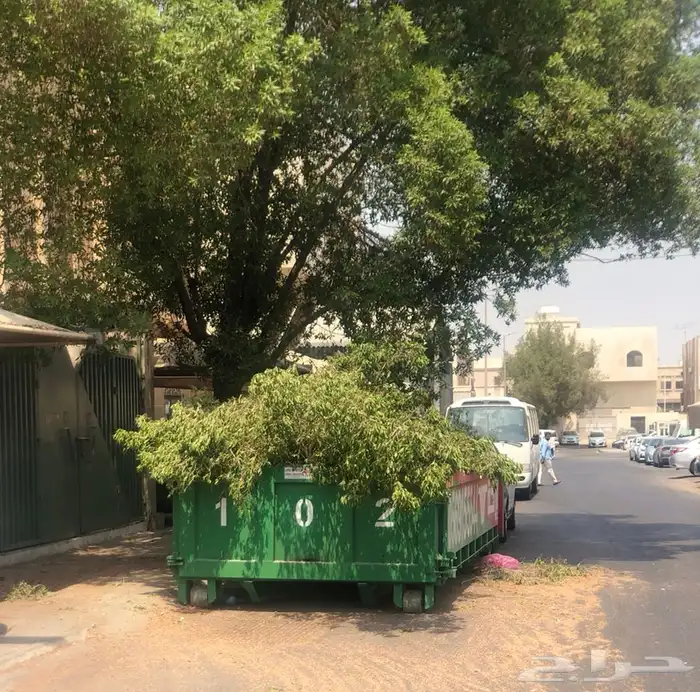 تقطيع الأشجار 3