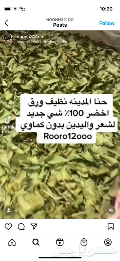 حنا المدينة وسدر 1