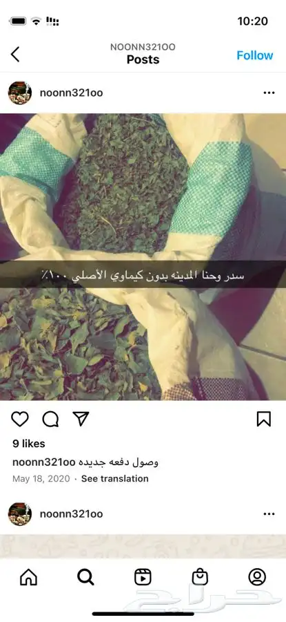 حنا المدينة وسدر 2