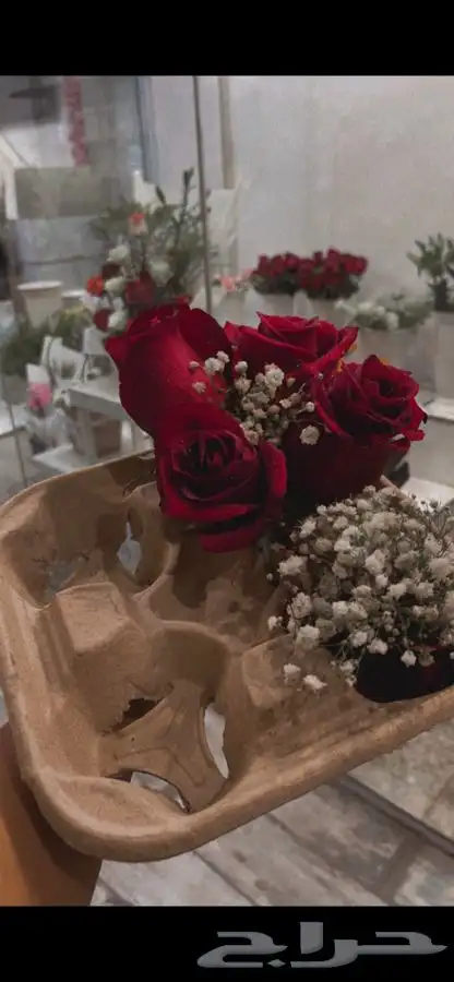 مندوب منسق هدايا ورد 42