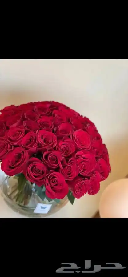مندوب منسق هدايا ورد 31