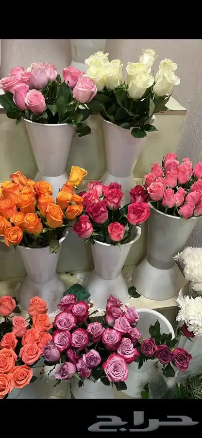 مندوب منسق هدايا ورد 39