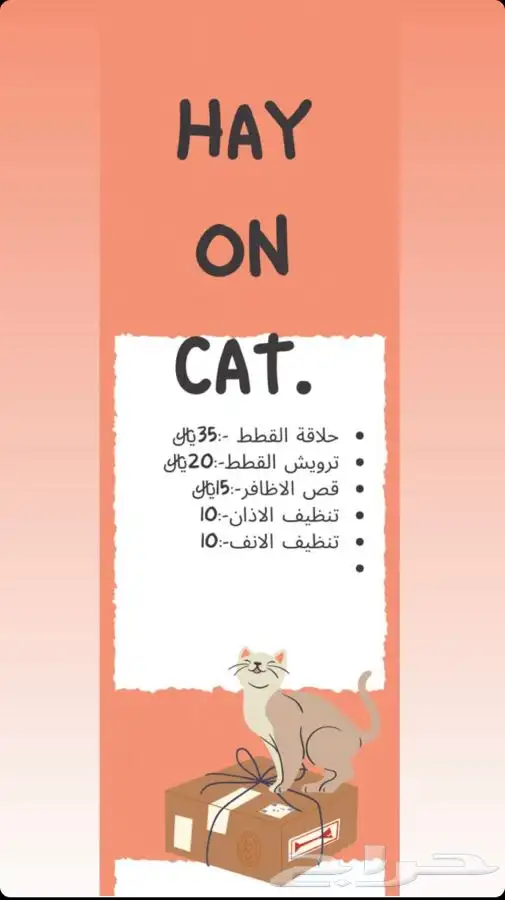 فندقه قطط فندقه ولاده قطط تزاوج قطط يوجد تقسيط تابي 5