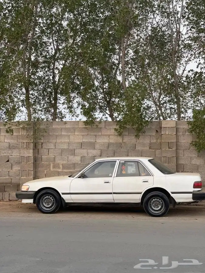كرسيدا نظيفه XL 96 18