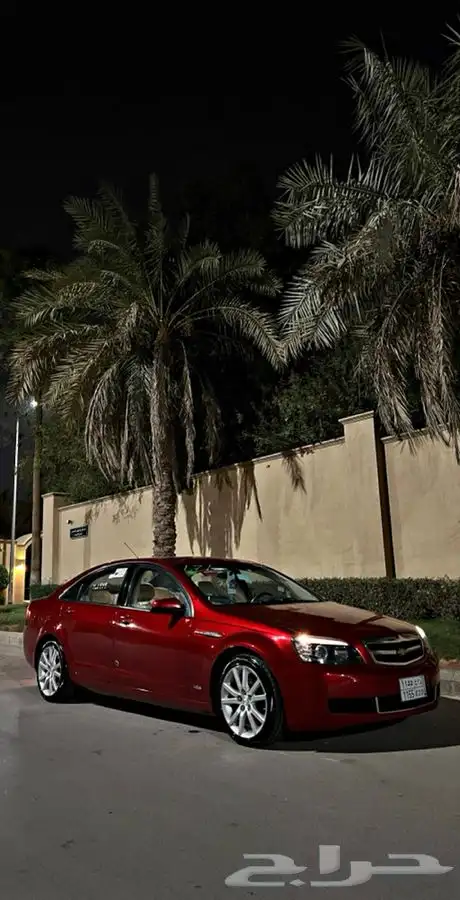 كابرس تم البيع 19