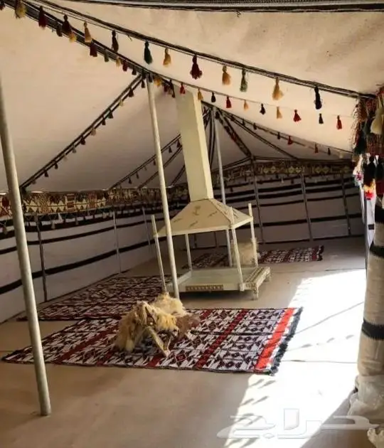 تفصيل بيوت شعر أبيض جميع المقاسات منتاز ظمان 22