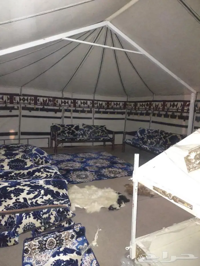 تفصيل بيوت شعر أبيض جميع المقاسات منتاز ظمان 12