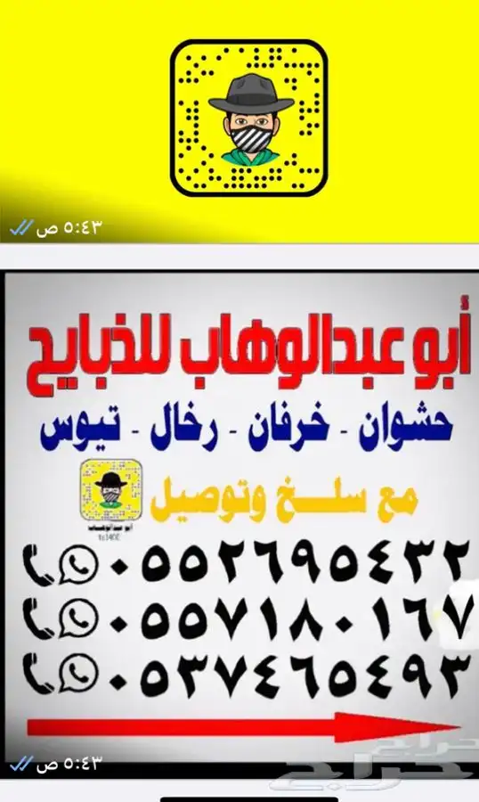 ذبايح خرفان رخال مع السلخ والتوصيل 15