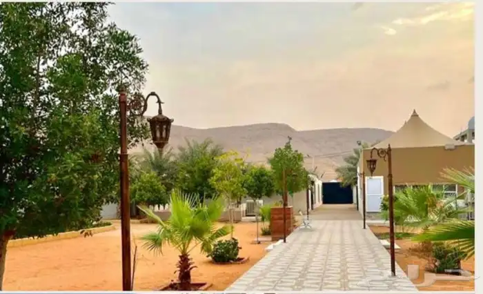 استراحة ومنتجع لافينا للإيجار اليومي 11