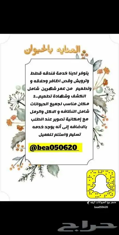 قطط طيور سلااحف اسماك مستلزمات توصيل ترويش قطط قص أظافر 6
