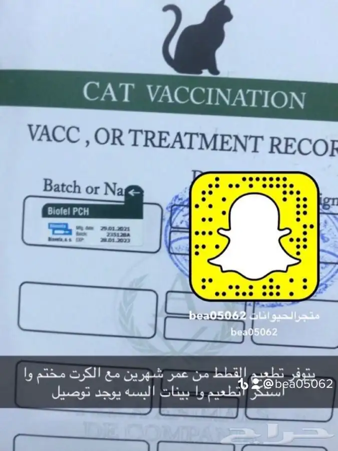 قطط طيور سلااحف اسماك مستلزمات توصيل ترويش قطط قص أظافر 11