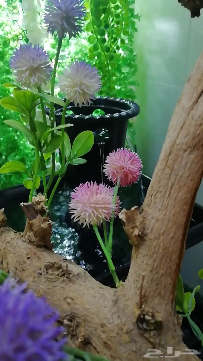 نافورة مربعة 0