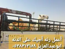 دنا ونش تحميل ابل 1