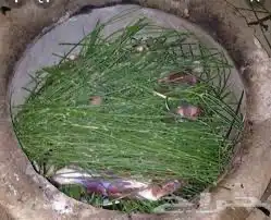 طبخ بالمرخ 1