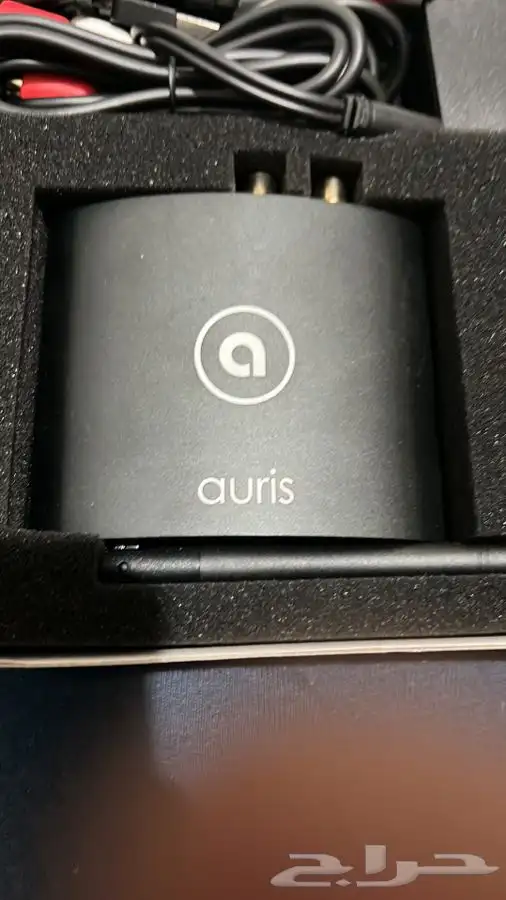 للبيع blume hd 6