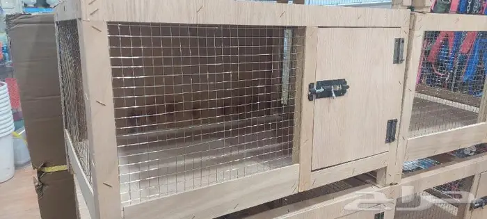 طيور زينة واكلها واقفاصها محل نوادر 60