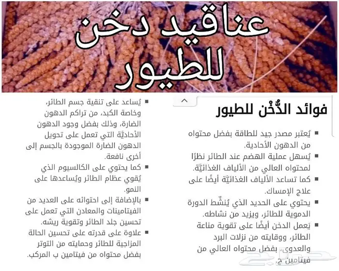 طيور زينة واكلها واقفاصها محل نوادر 7