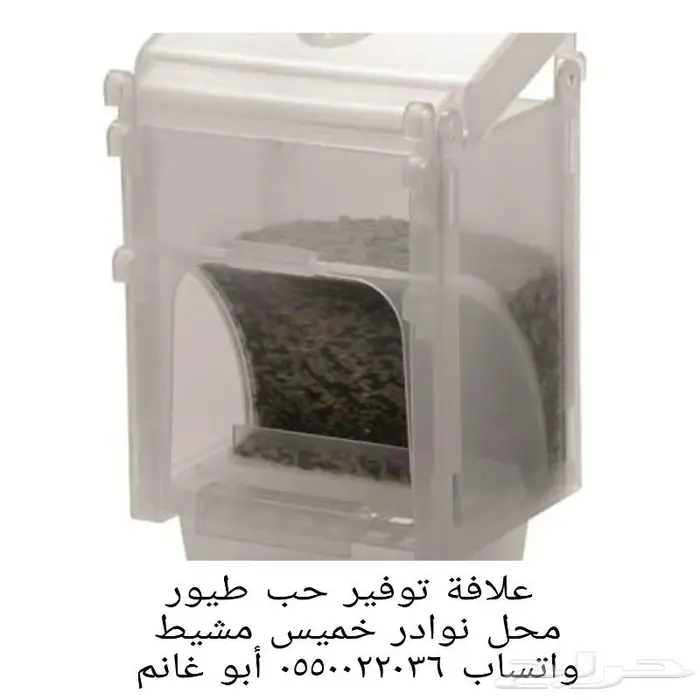 طيور زينة واكلها واقفاصها محل نوادر 17
