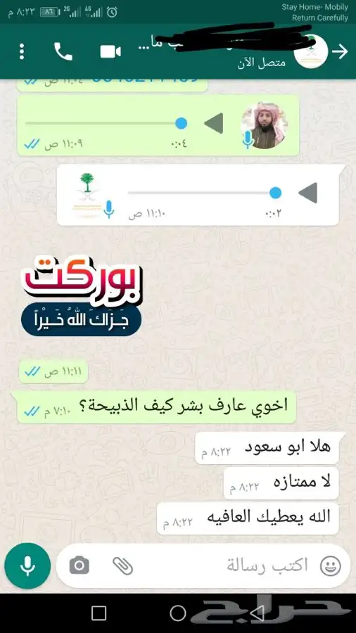 ذبيحة ثلاجة عقائق مناسبات صدقات لحد بيتك 53