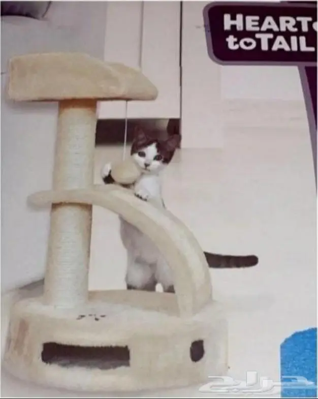 منزل قطط للبيع 0