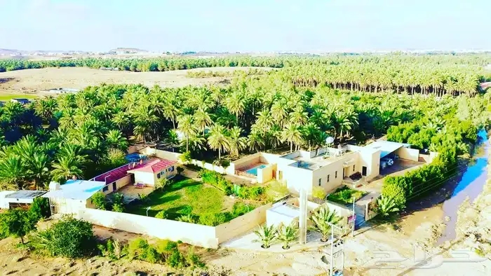 مزرعة و مسبح ومبيت للايجار اليومي في سدير 15