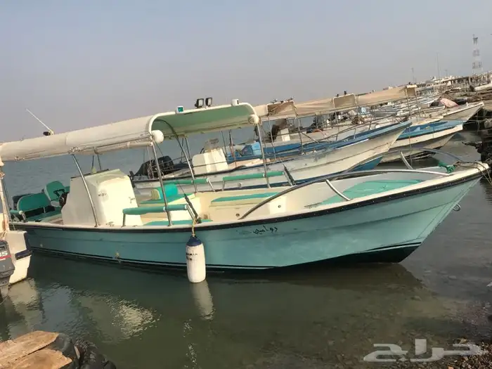 قارب للتأجير بالرايس 29