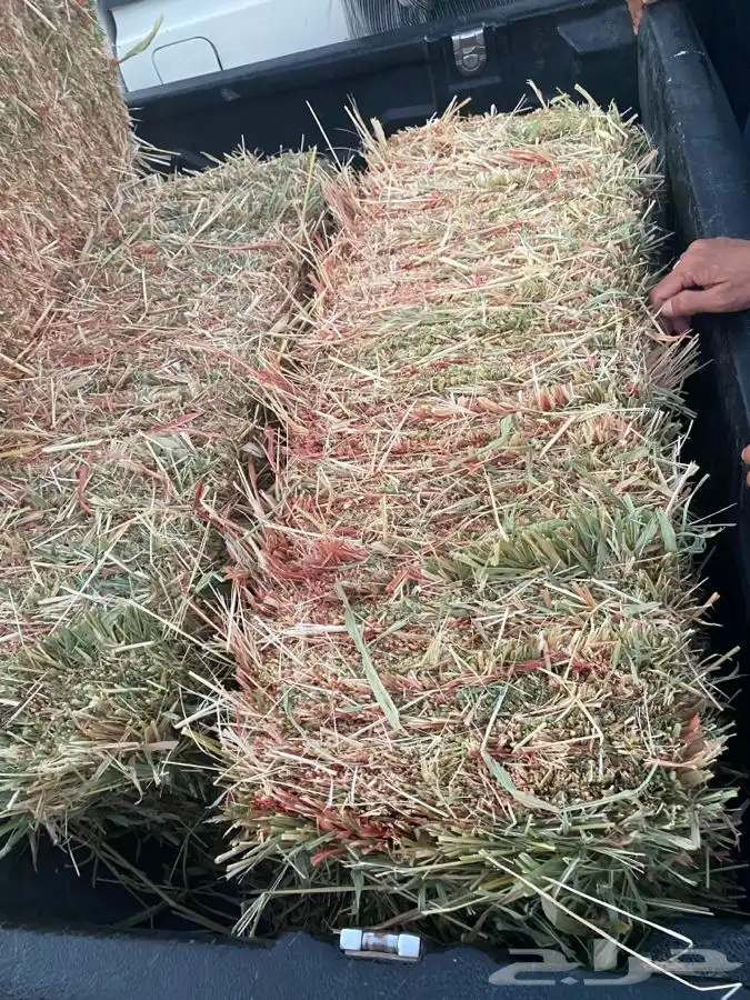 ذره جيزانيه ناعمه 0