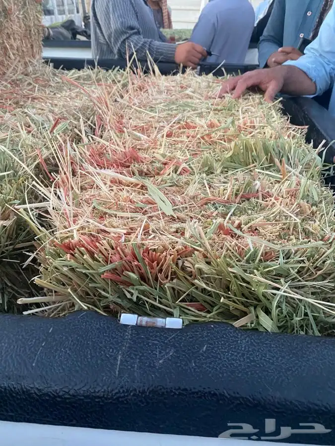 ذره جيزانيه ناعمه 2