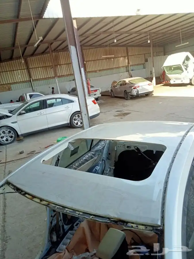 ورشه الظيوفي 19