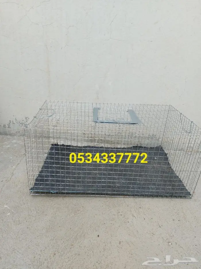 شبوك جلب الطيور سيم قوي 4