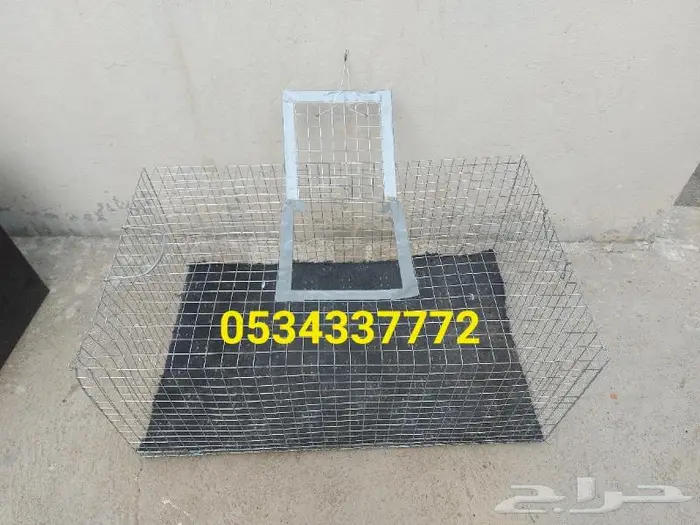 شبوك جلب الطيور سيم قوي 0