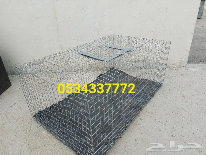 شبوك جلب الطيور سيم قوي 2
