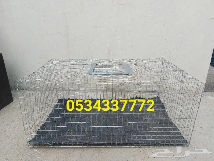 شبوك جلب الطيور سيم قوي 3