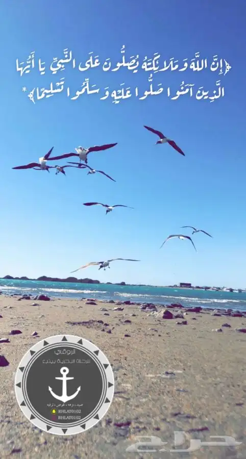 الروقي للرحلات البحريه ( سائق بنقالي ) ينبع الصناعيه 1