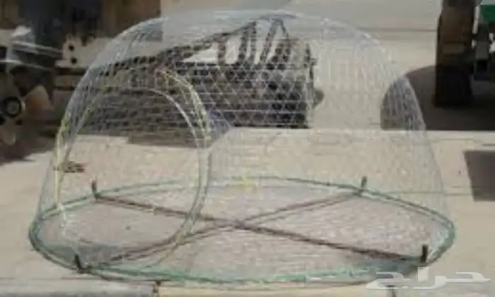 قرقور او صخاوي لصيد الاسماك 5