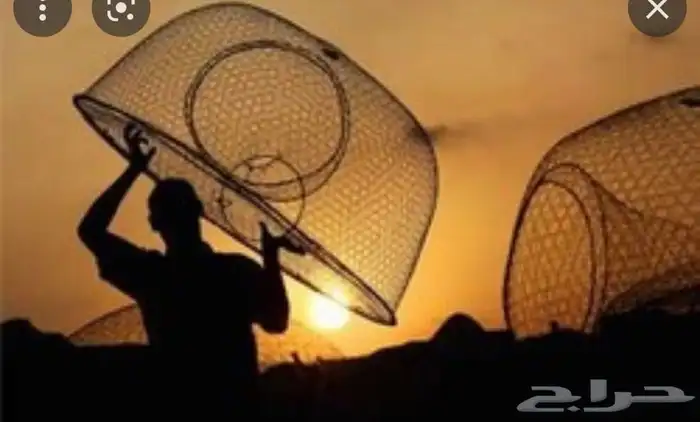 قرقور او صخاوي لصيد الاسماك 3