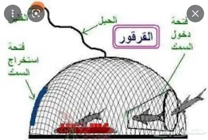 قرقور او صخاوي لصيد الاسماك 4