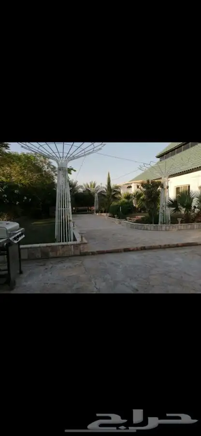 مزهريه تحف مزرعه حديقه ديكور 6