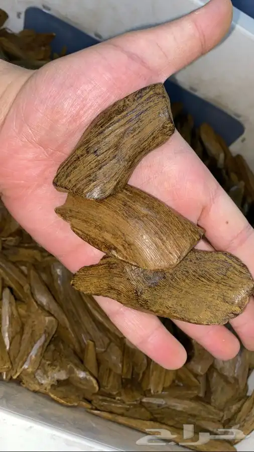 مروكي فاخر جدا مشروط 0