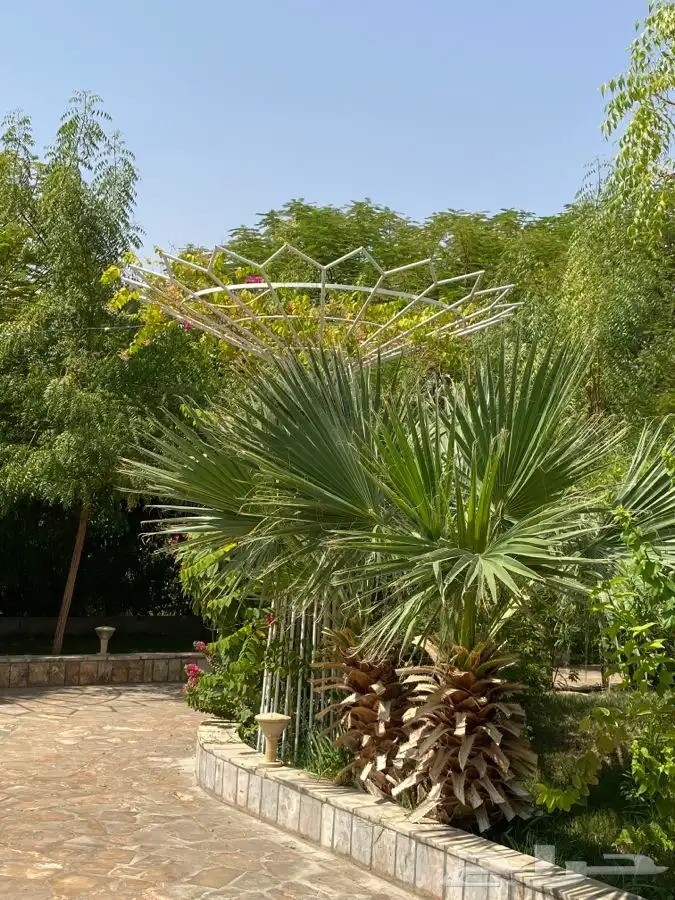 مزهريه تحف مزرعه حديقه ديكور 9