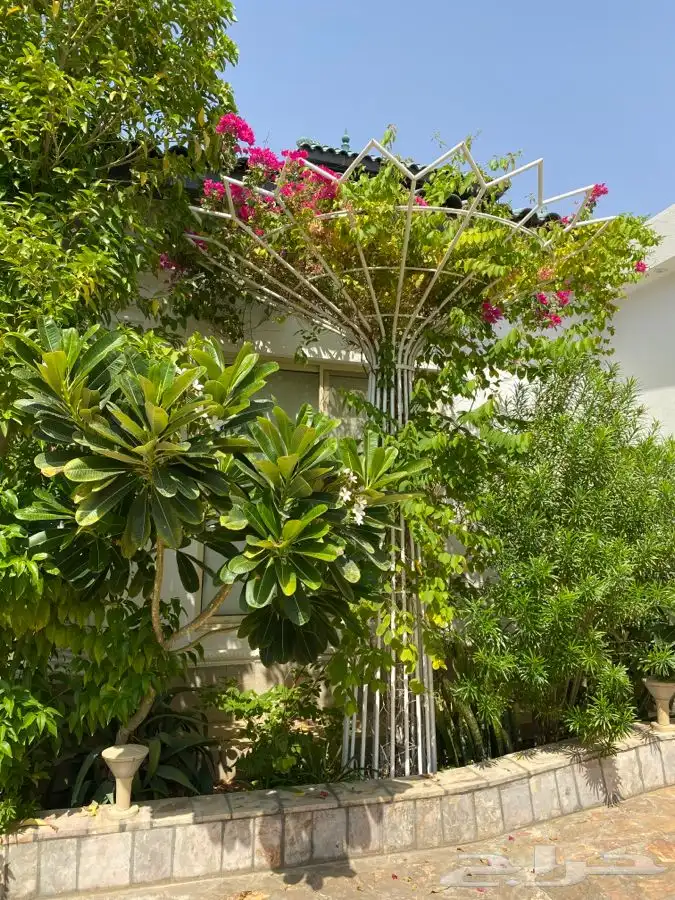 مزهريه تحف مزرعه حديقه ديكور 10