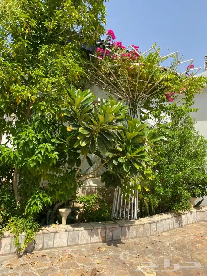 مزهريه تحف مزرعه حديقه ديكور 11