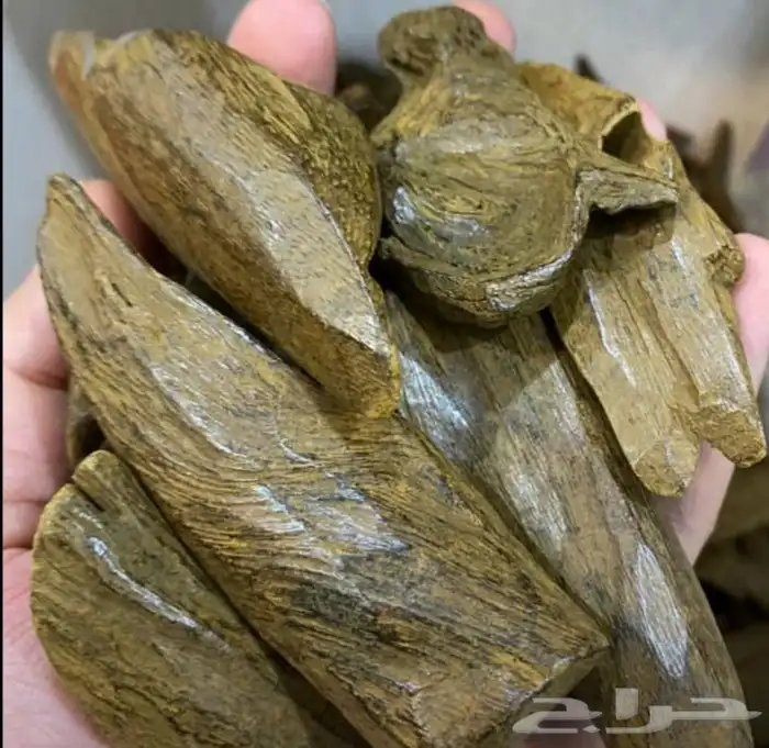 مروكي فاخر جدا مشروط 2