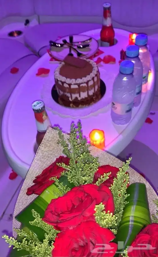 قارب طراد نزهه صيد بياضه حفلات تعليم قيادة نساء ورجال 13