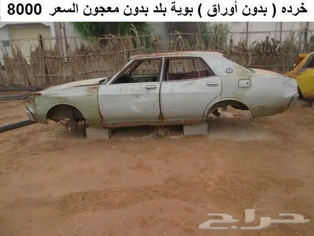 لوريل 77 بدون أوراق 10