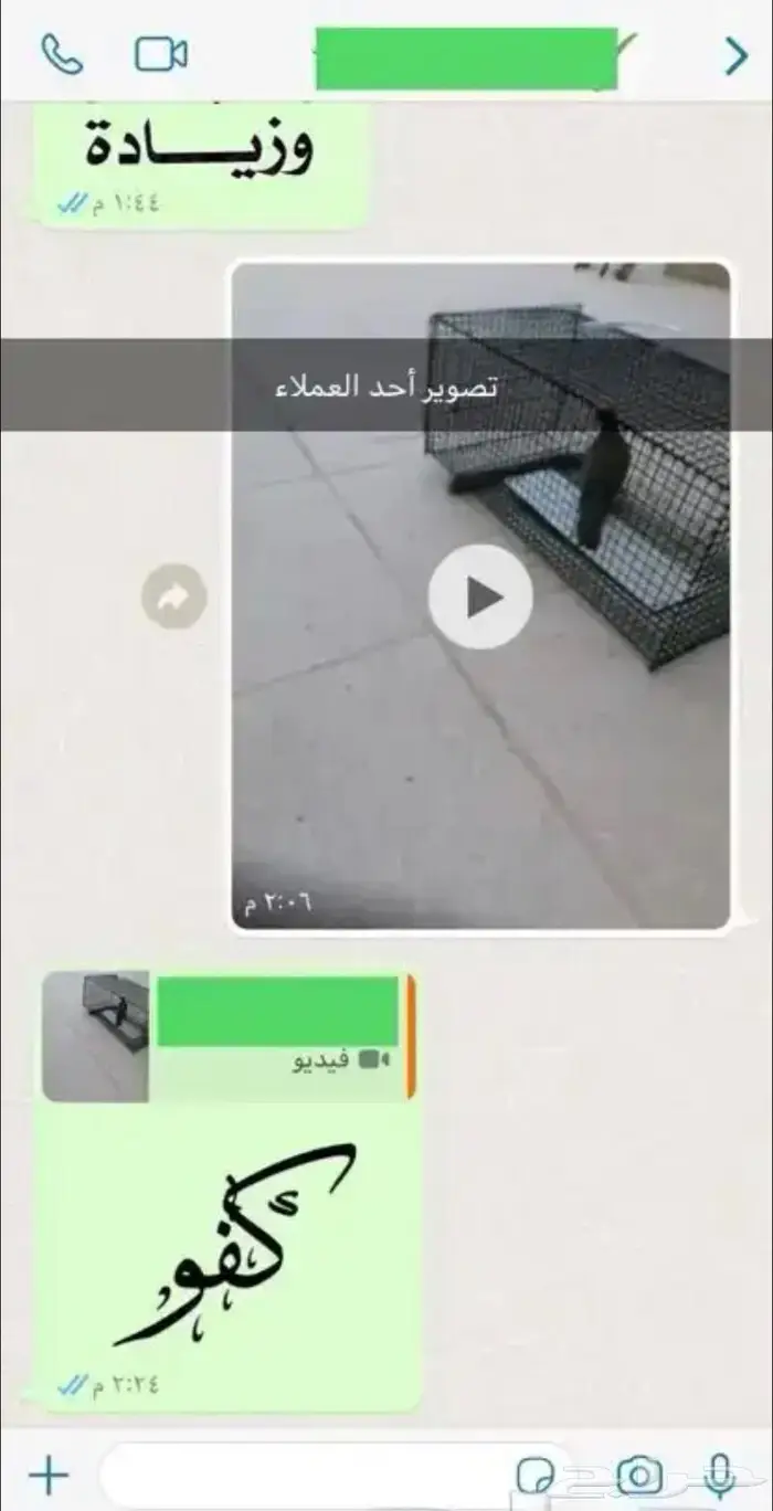 مصيدة طيور بابين 11