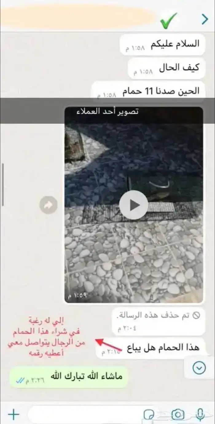 مصيدة طيور بابين 17