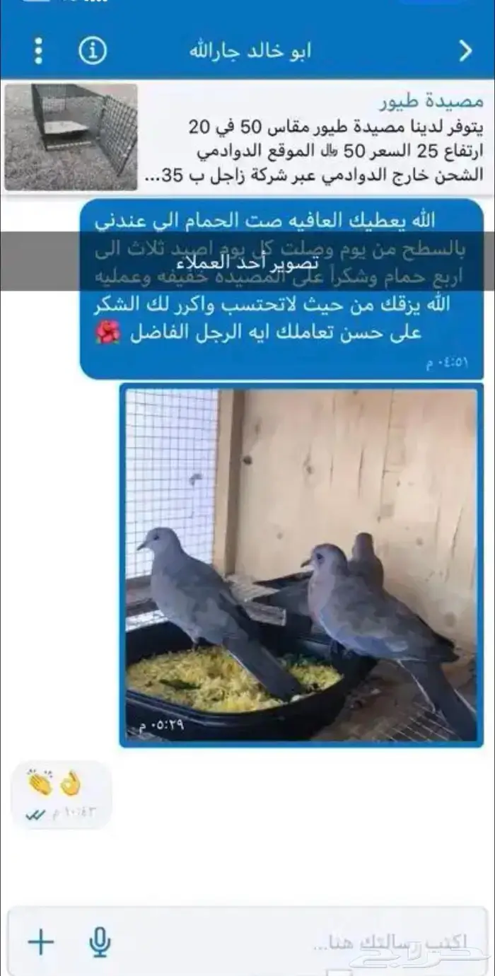 مصيدة طيور بابين 13