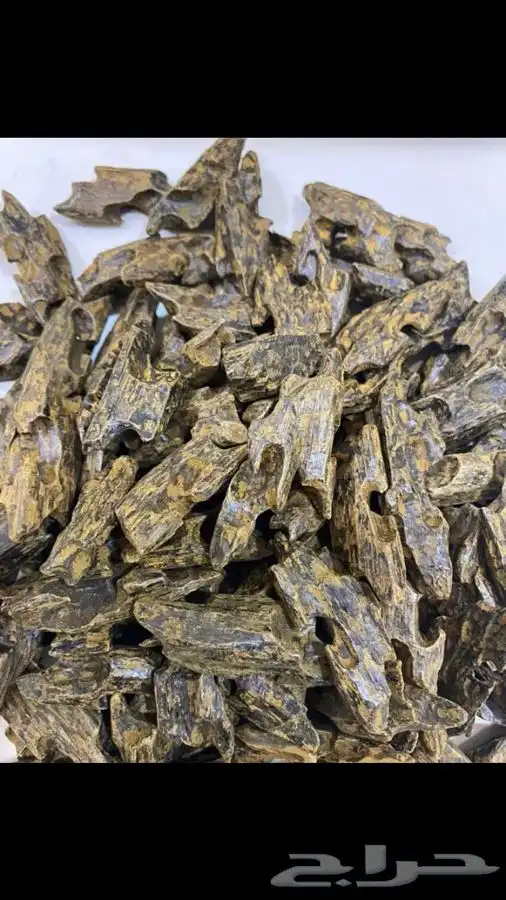 كمبودي ريسين تايلندي 0